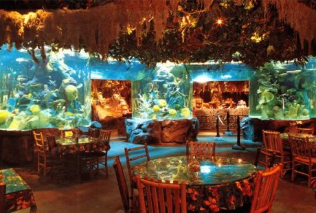 rainforest-cafe